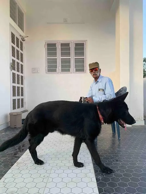 The White House Villa Udaipur 0*,  India